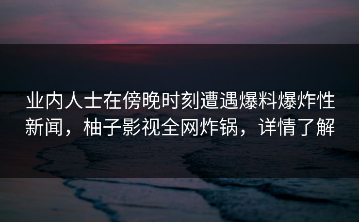 业内人士在傍晚时刻遭遇爆料爆炸性新闻,柚子影视全网炸锅,详情了解 业内人士在傍晚时刻遭遇爆料爆炸性新闻,柚子影视全网炸锅,详情了解