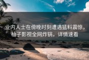 业内人士在傍晚时刻遭遇猛料震惊，柚子影视全网炸锅，详情速看